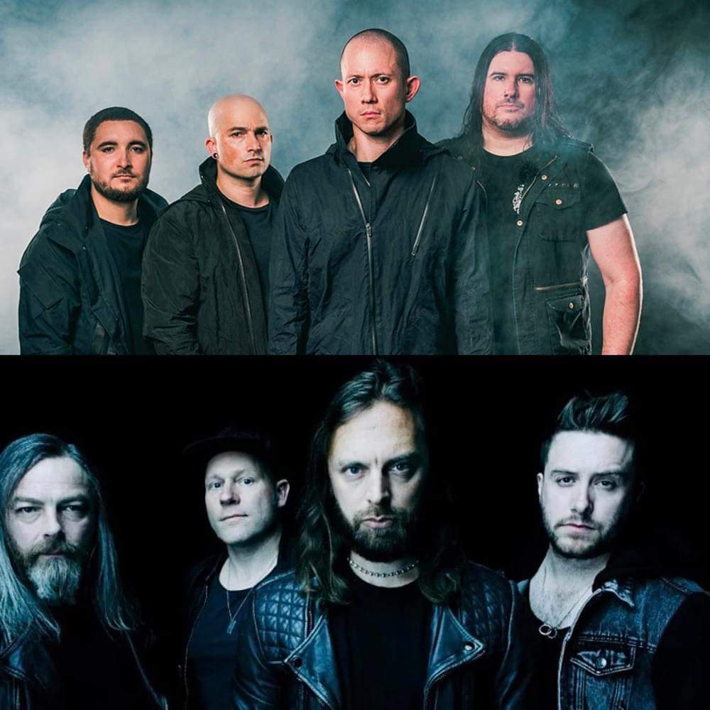 PogoConcerts tweet media