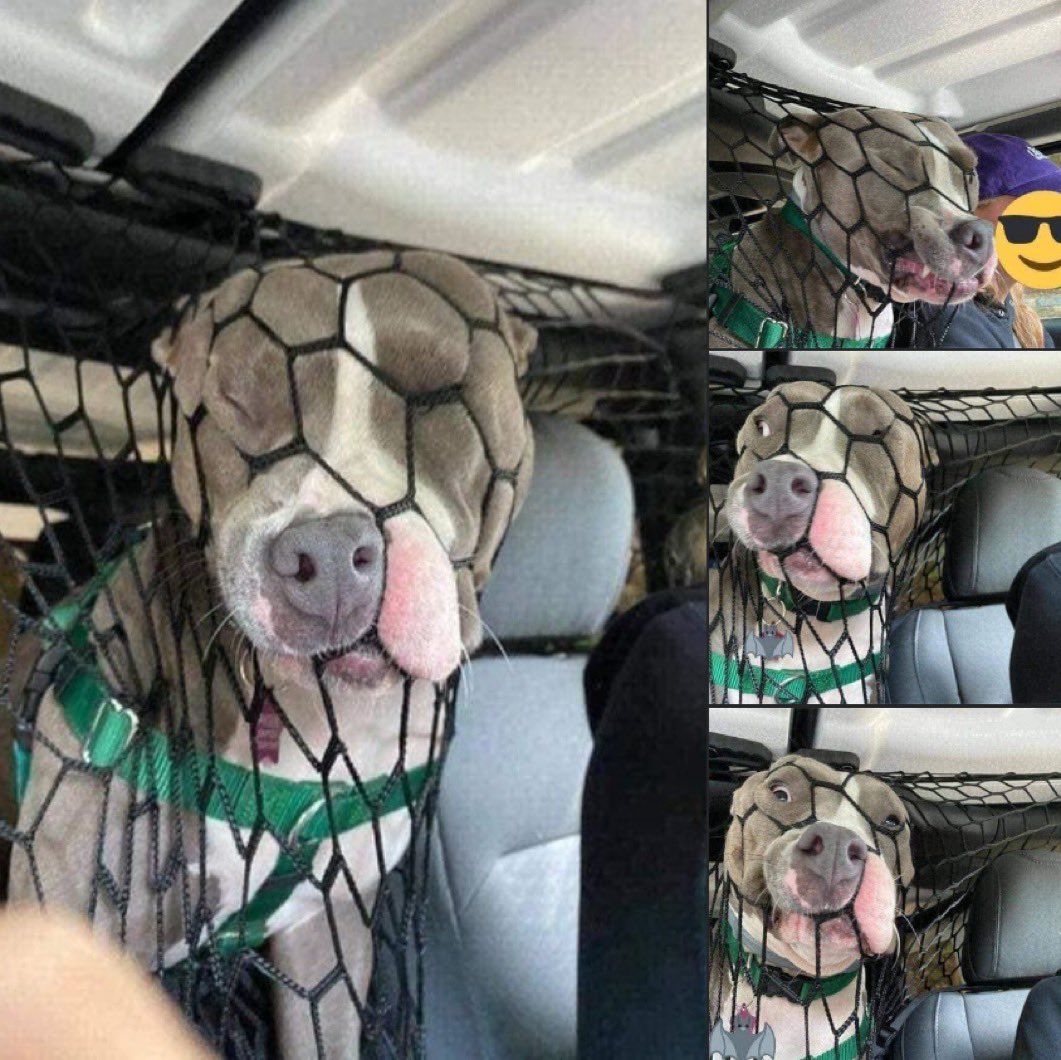 ASExprime's tweet image. Le drapeau des JO en haut de son mat #CeremonieDecloture