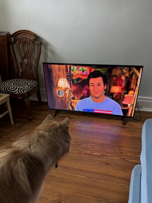 1 pic. My son is a true cinefile https://t.co/BToQigypYZ
