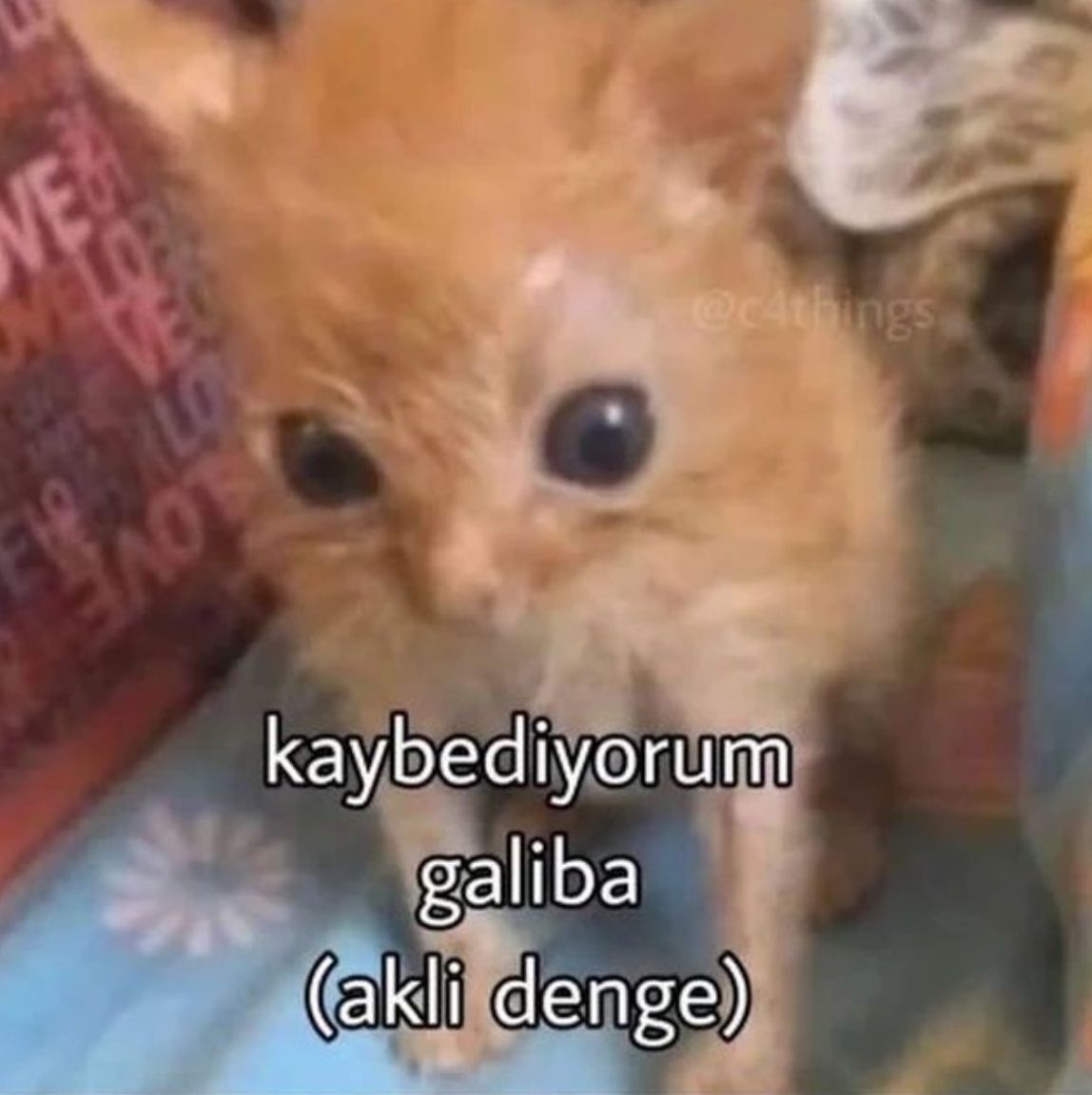 ANLIK (@anlikmod) on Twitter photo 