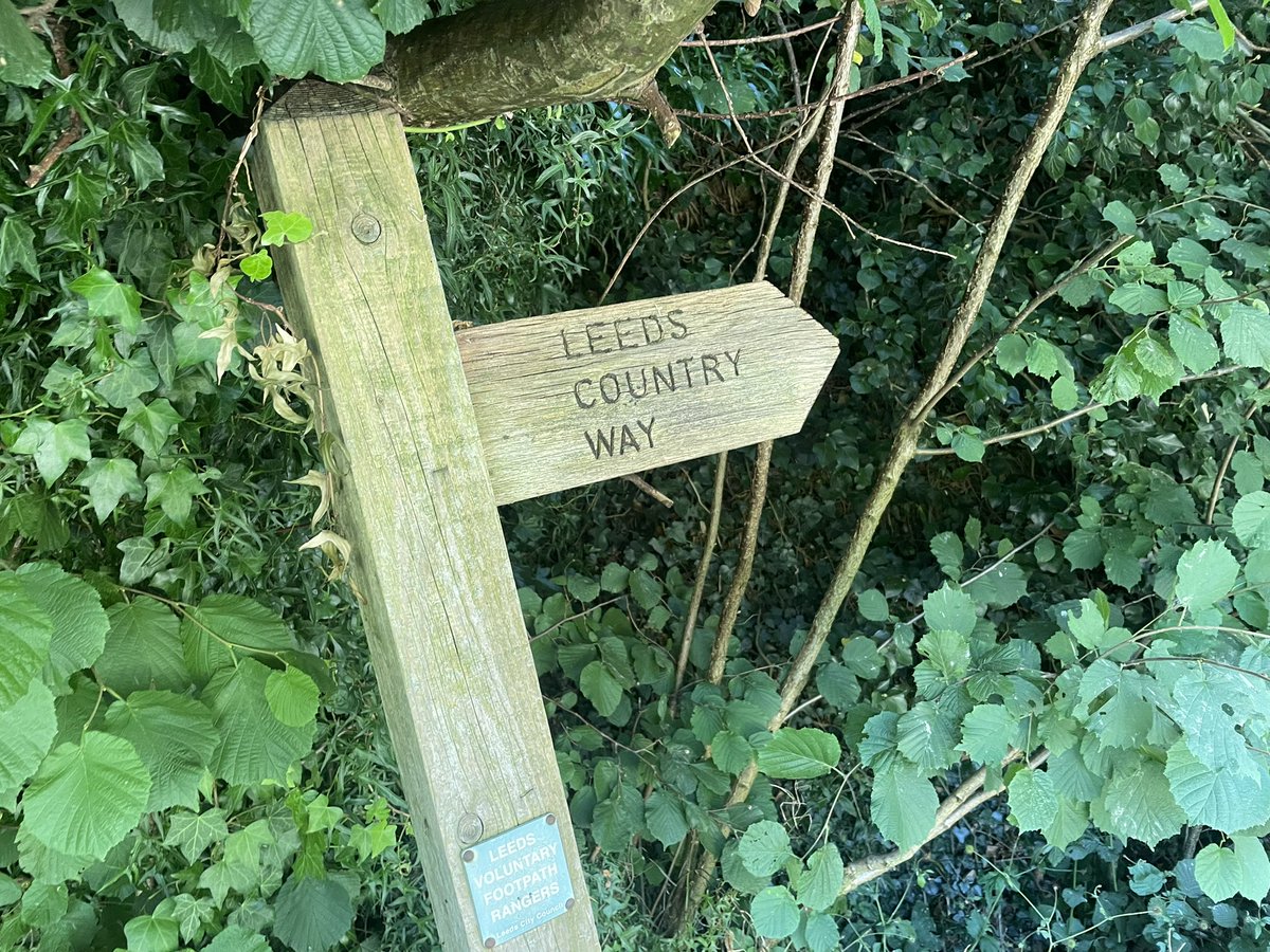ian_rutson's tweet photo. Lovely 14 mile walk with #1 son today - first quarter of the #LeedsCountryWay followed by quality refuelling at Fat Hippo โบ๏ธ https://t.co/sKIvFpRsN3