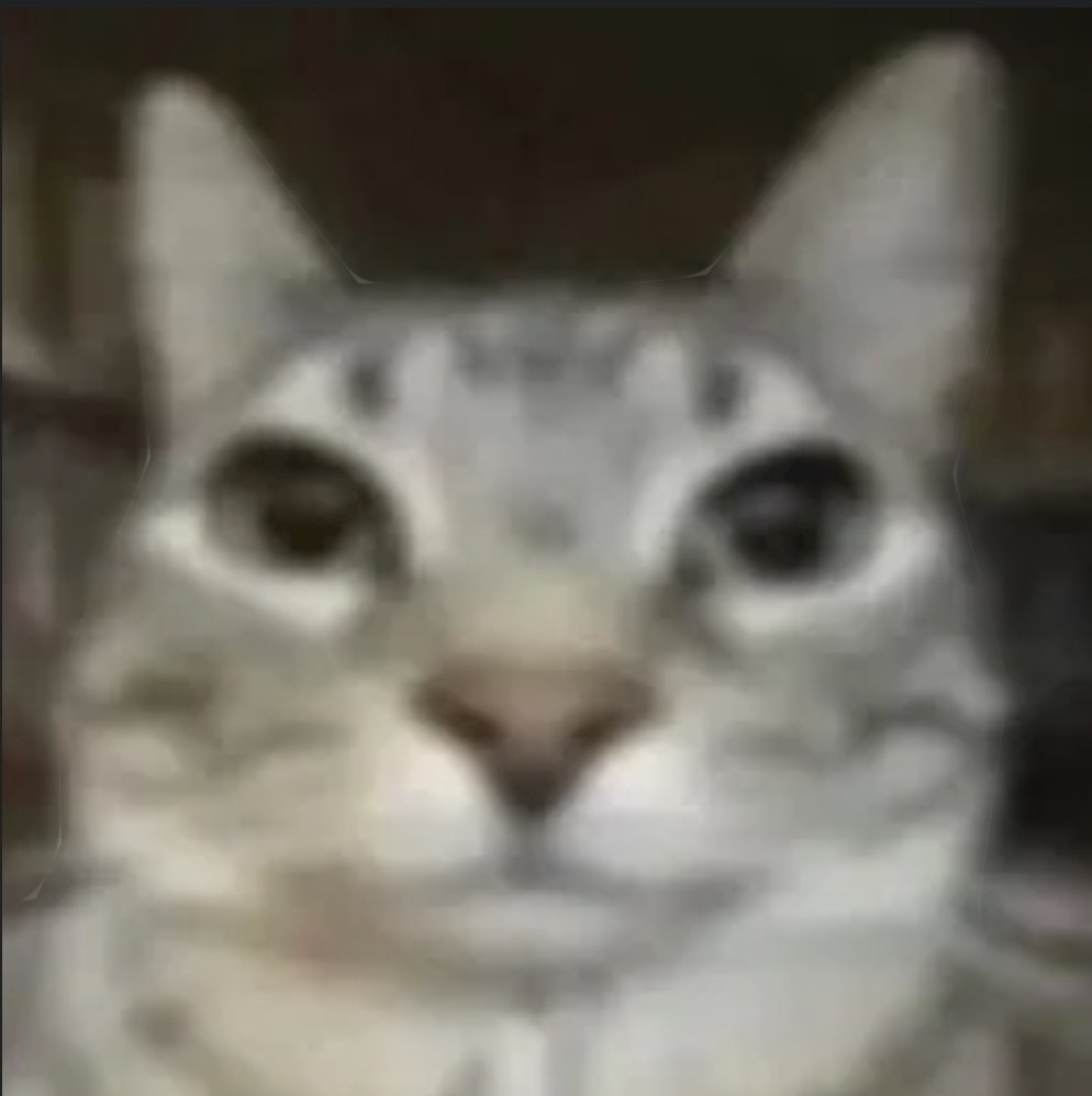 𝕬gᥲ𝗍sᥙmᥲ𖣘 tweet media