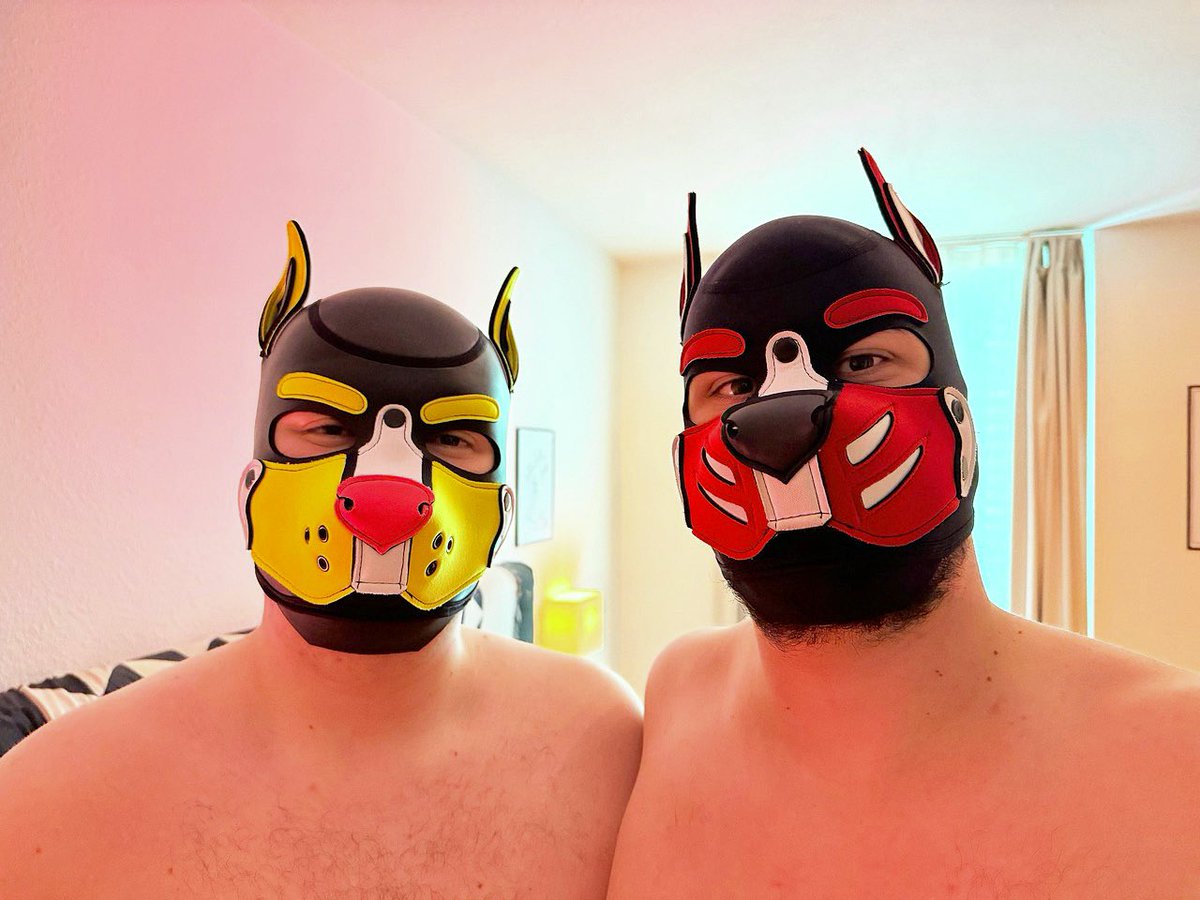 Found a handsome doggo in my flat today! 🐾💛🐶🌭 <a href="/pup_fetch/">pupFetch 🐶🐽🖤</a>