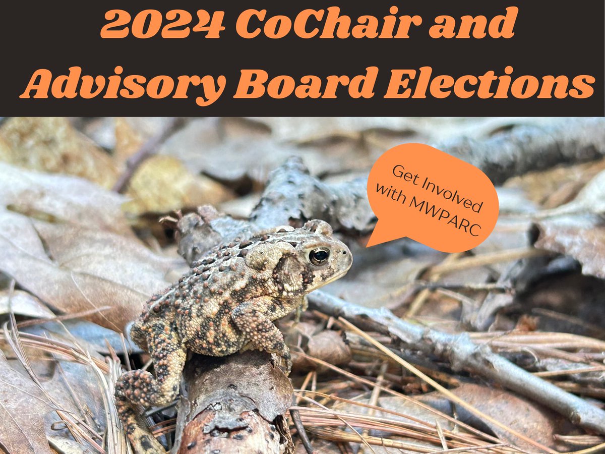 Midwest PARC (@mwparc) on Twitter photo We want you! To run for MWPARC Co-chair and Advisory Board positions. We are seeking nominations for these 2-year positions until August 31st. If you or someone you know is interested, please contact parcmidwest@gmail.com We want you! To run for MWPARC Co-chair and Advisory Board positions. We are seeking nominations for these 2-year positions until August 31st. If you or someone you know is interested, please contact parcmidwest@gmail.com