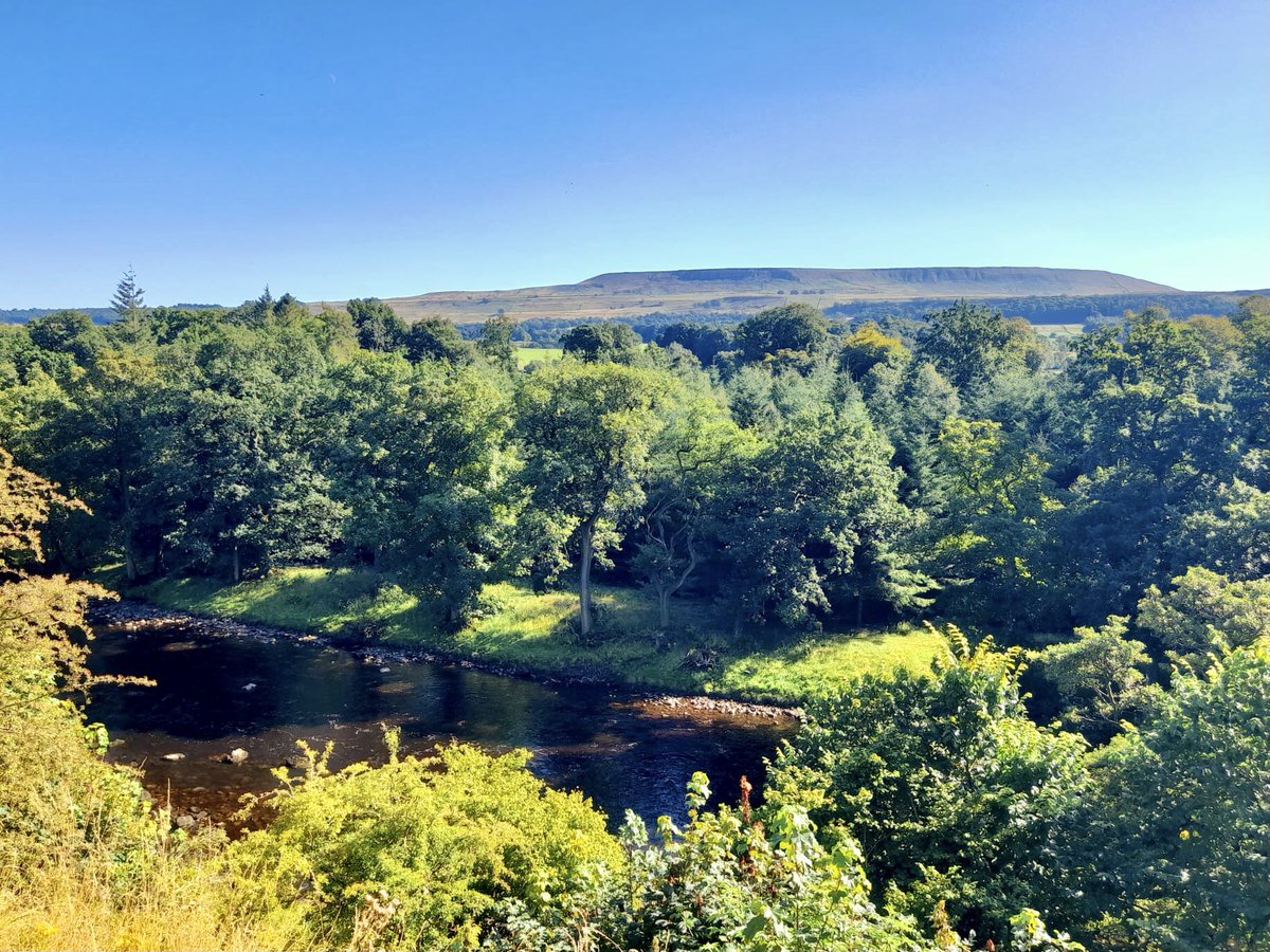 _WildfellHall's tweet photo. Late afternoon tootle in #Wensleydale & over the top into #Swaledale #YorkshireDales. No place I’d rather be. #RatherBeOutside https://t.co/3QBEM7A16S