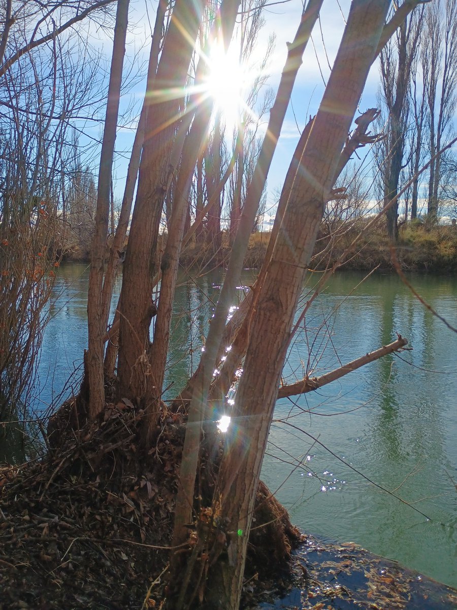 EnzoAnaGaiman's tweet photo. Hermosa tarde de invierno en el #VIRCh. https://t.co/TyWtQHwEpK