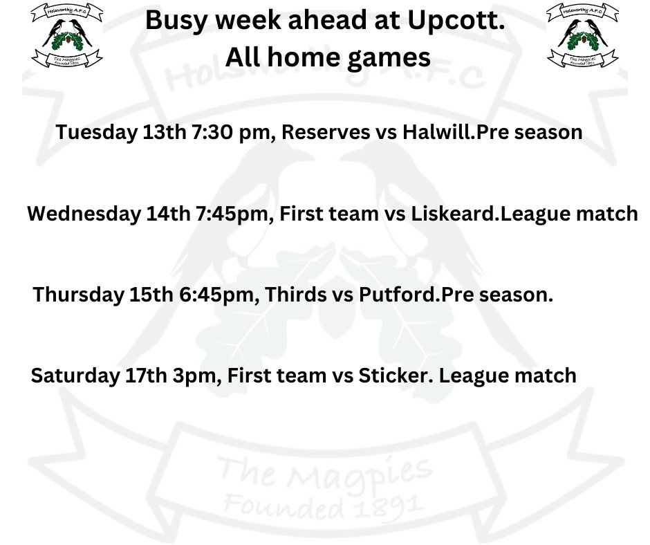 Holsworthy AFC Reserves (@hafc125reserves) on Twitter photo 