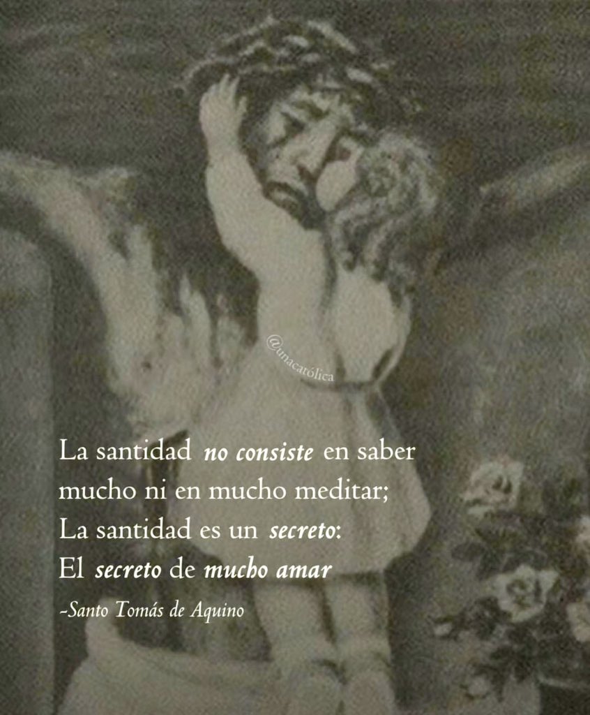 Universitarios Católicos (@unicatolicos_es) on Twitter photo 