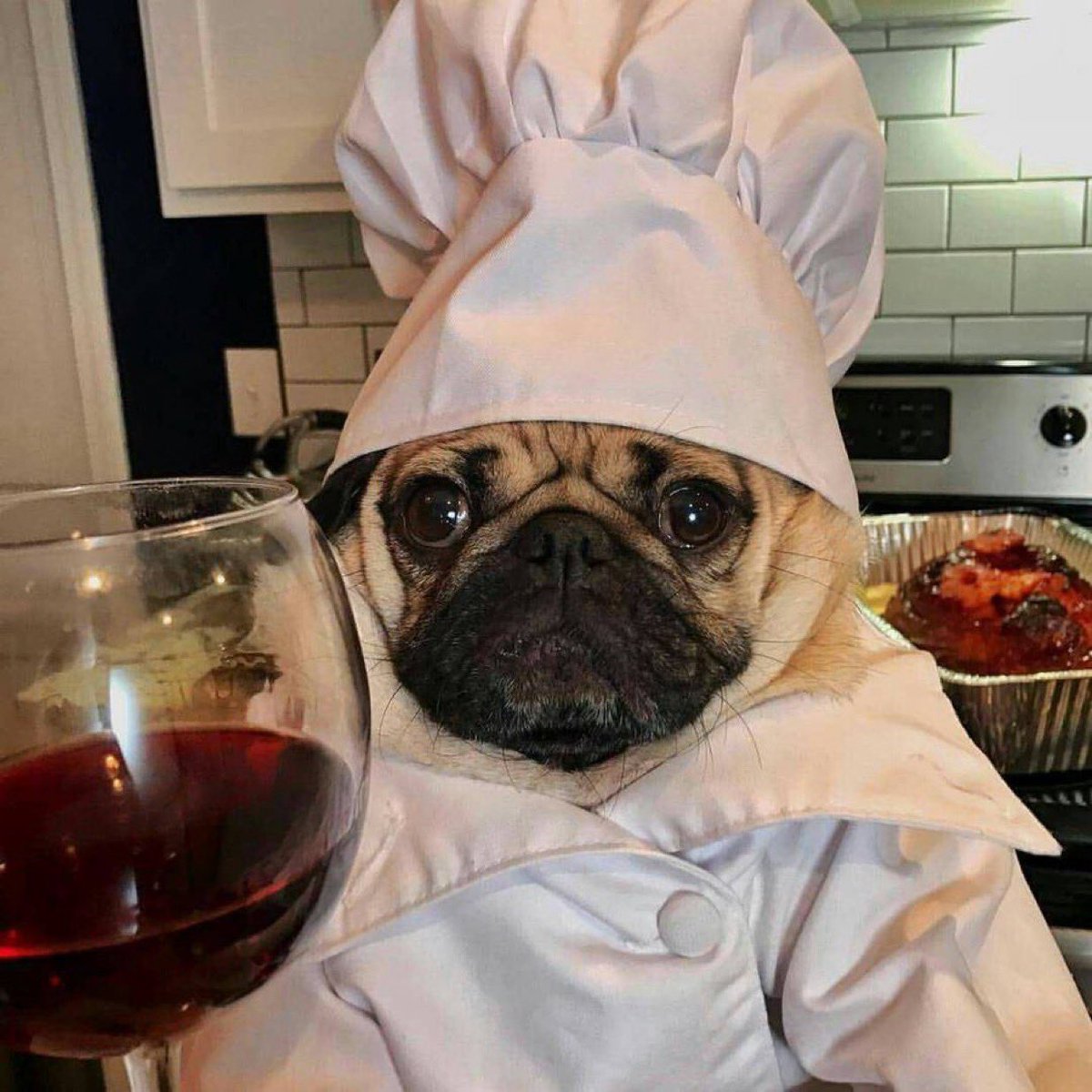 enesee_agency's tweet image. Talking about kings,,? The Aura of $DOUG is top tier 

@dougoneth