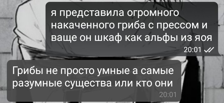 кого кинните