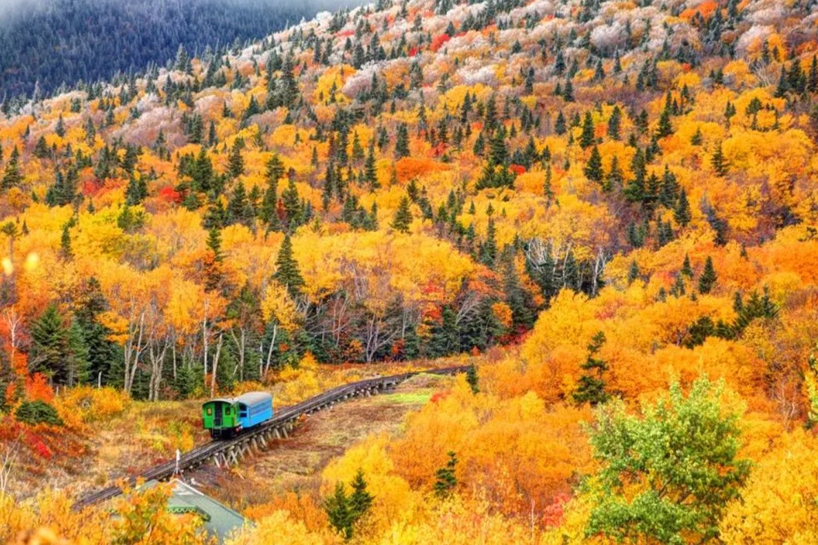 ForbesLife tweet media