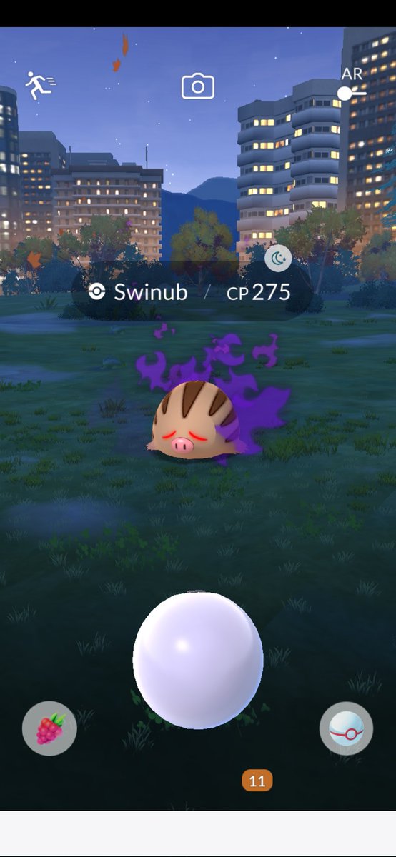Zofie_13's tweet photo. OH HAPPY DAY 🥳
#shadowSwinub #PokemonGO https://t.co/FRe162TUt9