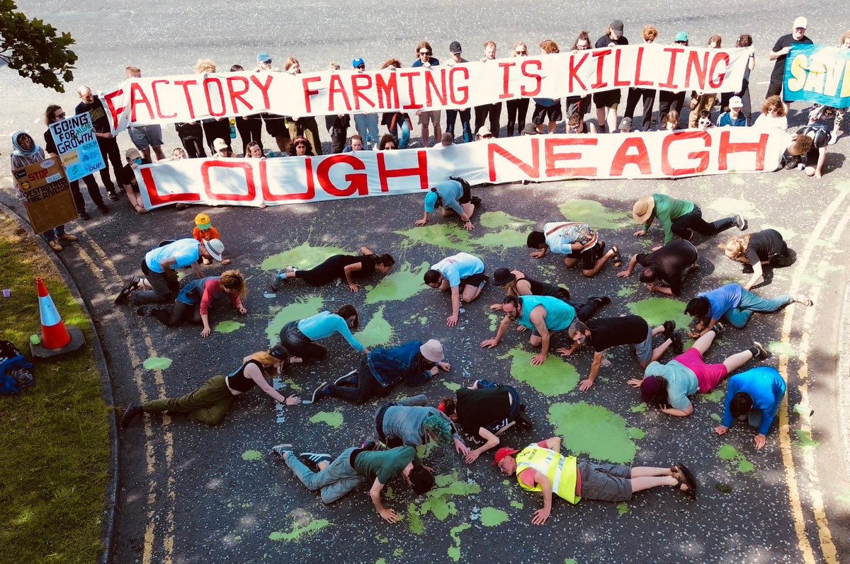 sli_eile_'s tweet photo. … Moy Park is owned by Brazilian agri-food giant JBS. Large-scale deforestation and human rights abuses, including forced labour &amp; land grabbing of Indigenous lands, linked to JBS have been widely documented by @Greenpeace @Global_Witness @Amnesty and others. https://t.co/bEVZJOlGoo