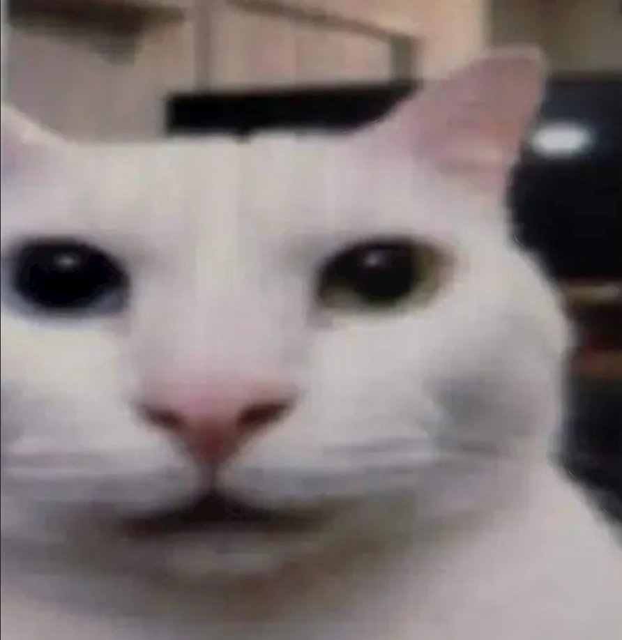 𝕬gᥲ𝗍sᥙmᥲ𖣘 tweet media