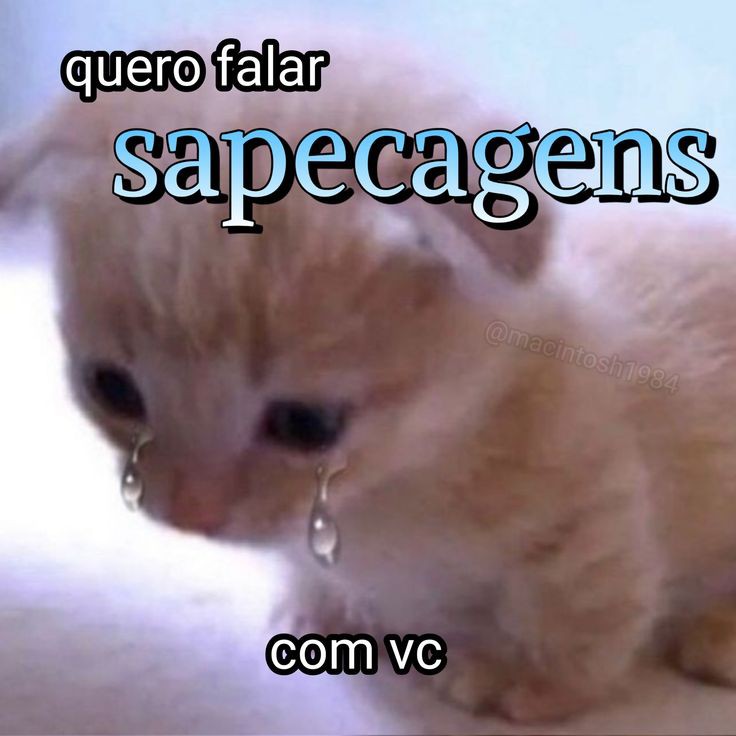 memeparaoarroba's tweet photo. https://t.co/5WVXSnzQLB