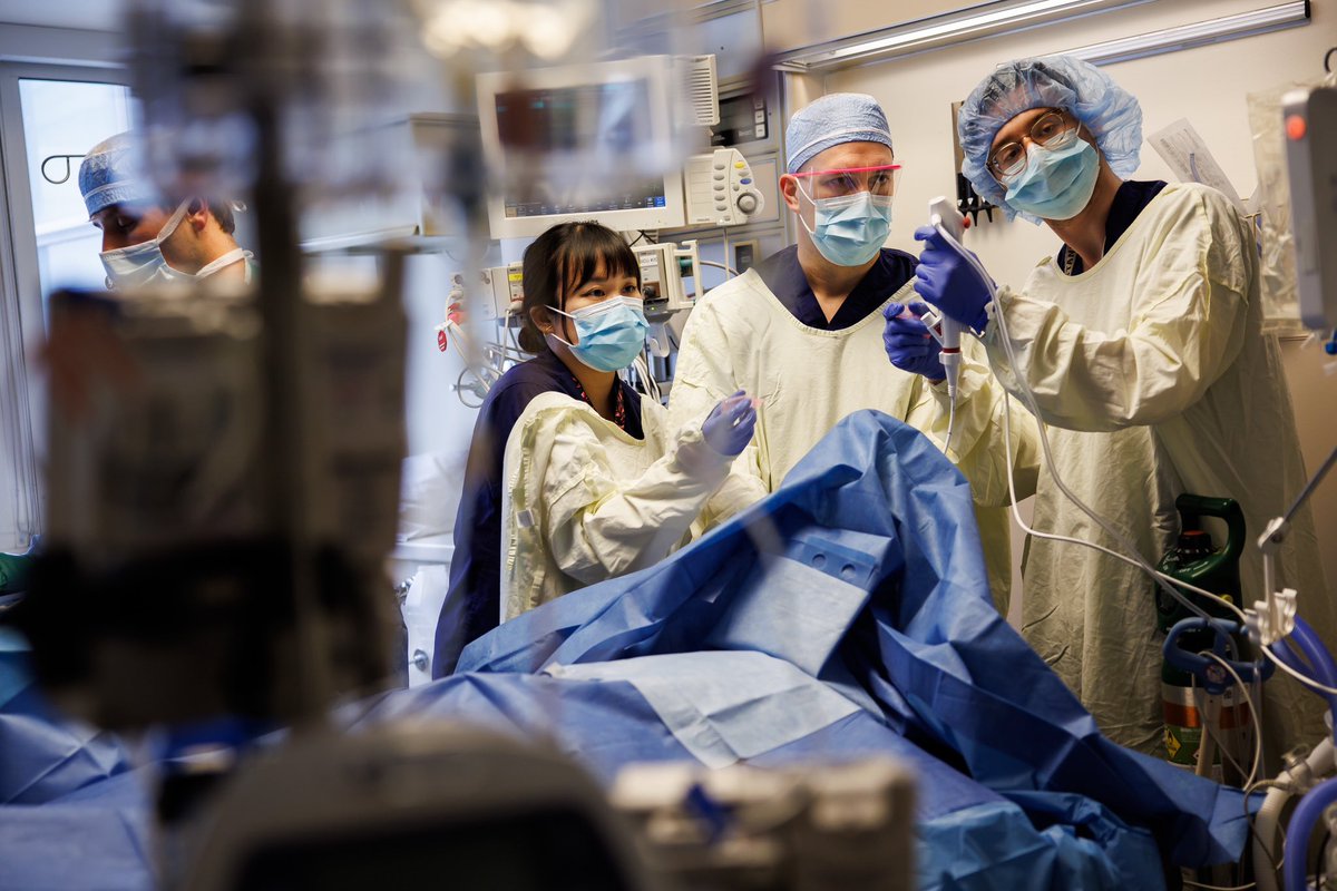 Dai Sugano (@daisugano) on Twitter photo Changes at a San Jose hospital raise questions about impact of trauma center closures mercurynews.com/2024/08/11/big⦠<a href="/mercnews/">Mercury News</a> article by <a href="/grace_hase/">Grace Hase</a> š· <a href="/daisugano/">Dai Sugano</a> Changes at a San Jose hospital raise questions about impact of trauma center closures mercurynews.com/2024/08/11/big⦠<a href="/mercnews/">Mercury News</a> article by <a href="/grace_hase/">Grace Hase</a> š· <a href="/daisugano/">Dai Sugano</a>