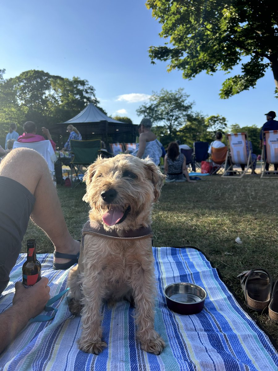Nicola Monk (@nicolaperry84) on Twitter photo What a brilliant evening at the Wardown Bandstand watching The Wonder of Stevie! Superb performance, nice vibe……and Stan loved it! <a href="/StepForwardLTN/">Step Forward Luton</a> What a brilliant evening at the Wardown Bandstand watching The Wonder of Stevie! Superb performance, nice vibe……and Stan loved it! <a href="/StepForwardLTN/">Step Forward Luton</a>