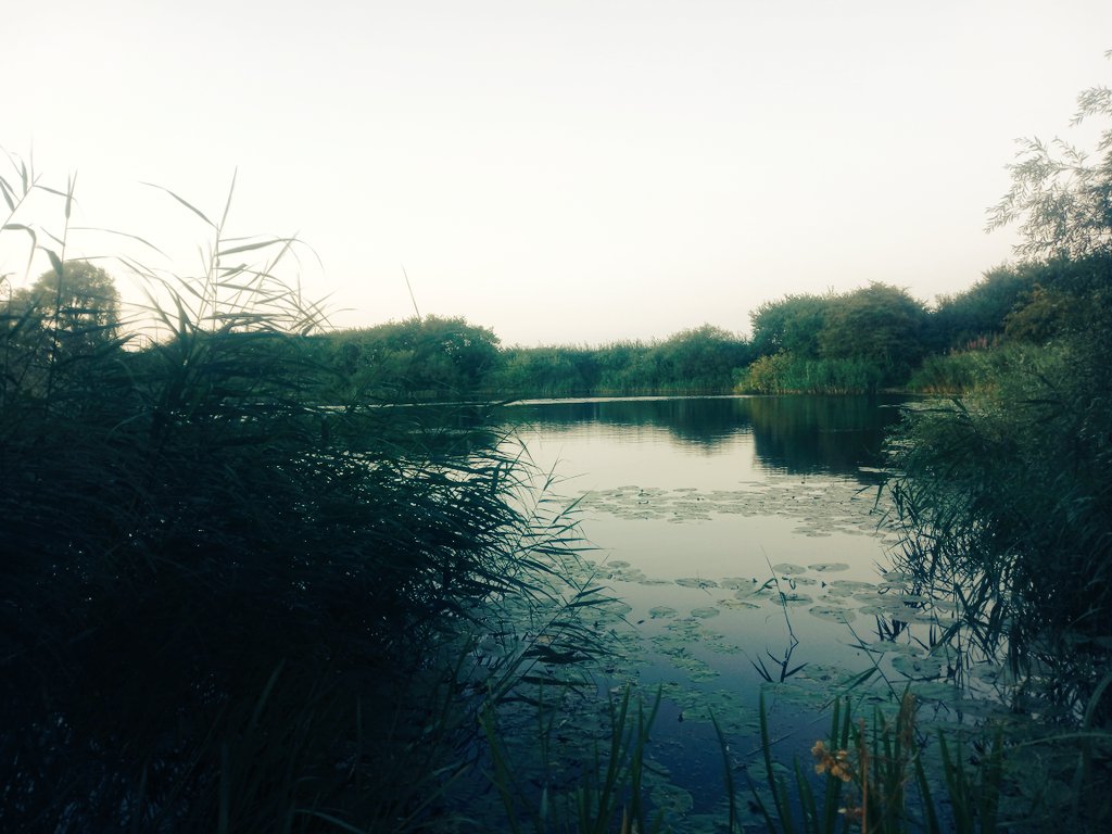 handymelon's tweet photo. The return of the Evening Stroll now that Mr H is feeling up to it again 
A wander up to the fishing pond when things cooled down a bit; crops all look ready to come in and there's a breath of autumn in the air
#OutForAWalk #eastridingskies https://t.co/HoOX7ndncY