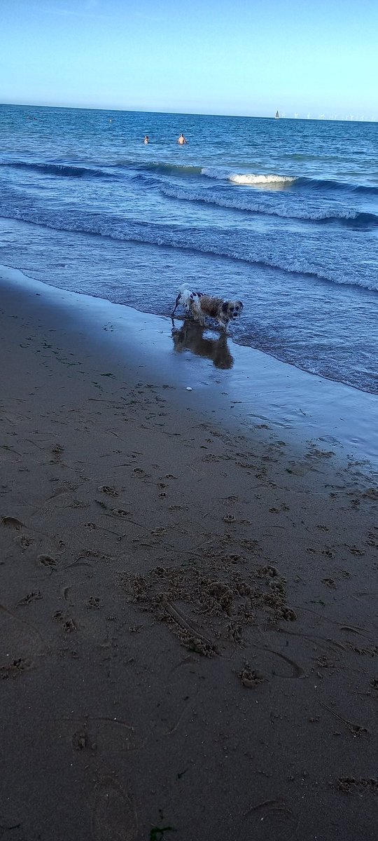 KerriePayne11's tweet image. Enjoyed a lovely evening at Folk Week in Broadstairs with hubby, @bekkah_payne #nelsonwillow and some friends 😊
#folkweek 
#folkweekbroadstairs 
#summerholidays 
#sundayevenings 
#sundays