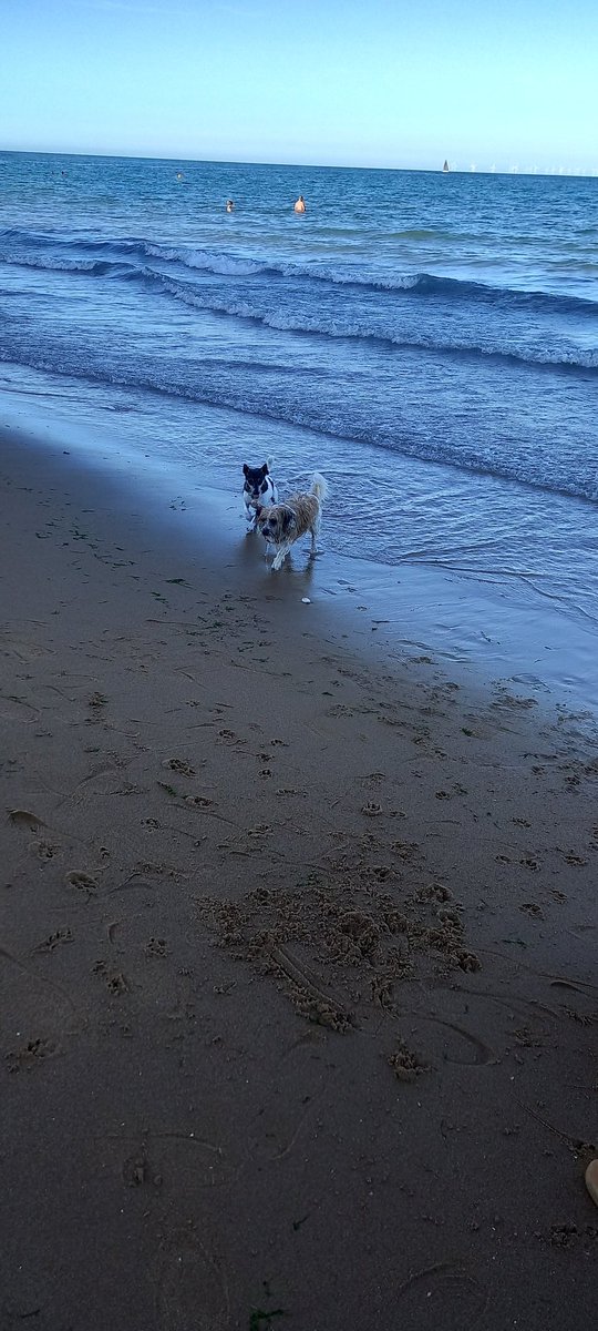 KerriePayne11's tweet image. Enjoyed a lovely evening at Folk Week in Broadstairs with hubby, @bekkah_payne #nelsonwillow and some friends 😊
#folkweek 
#folkweekbroadstairs 
#summerholidays 
#sundayevenings 
#sundays