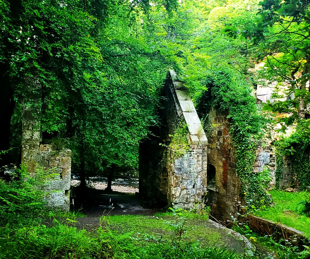 blonde_on_bikes's tweet image. Roslin / Rosewell 9 mile circular walk  #midlothian #walkingroutes #RoslinGlen