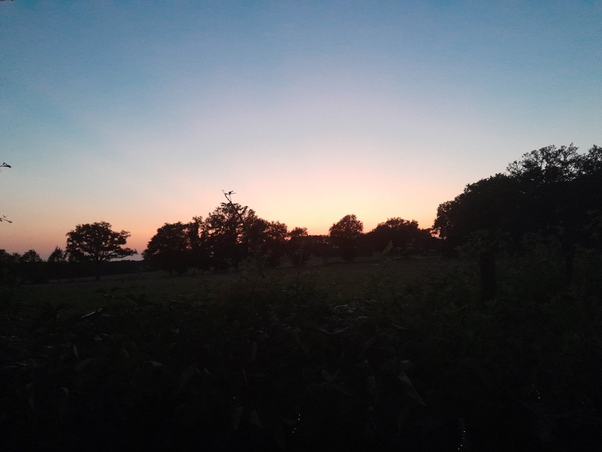 Clear, warm night for sitting out and watching the Perseide meteor shower. Lovely dark skies here @astrofarmfrance