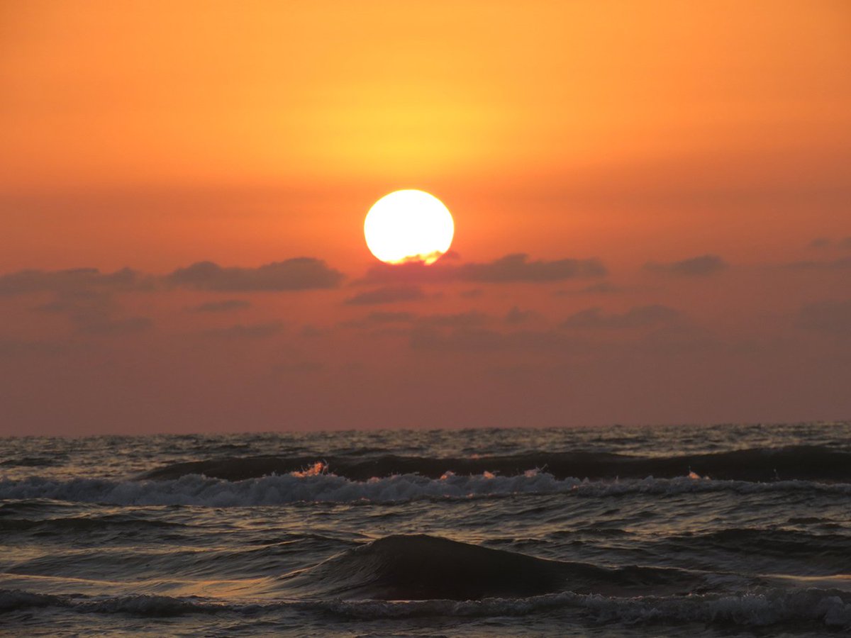 PiotcoTeam tweet media