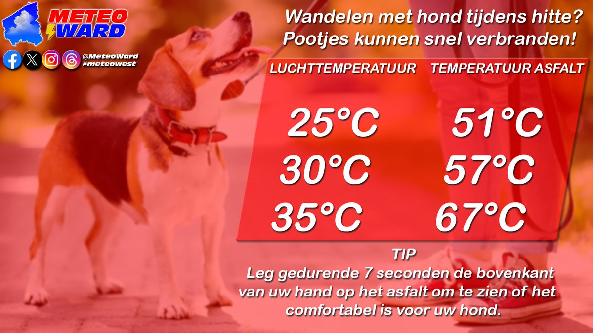 Ward Bruggeman ⚡️ tweet media