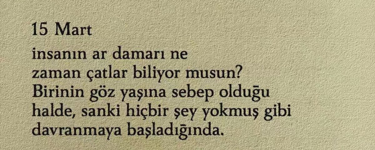 Selinsu (@yinemiselinsu) on Twitter photo 