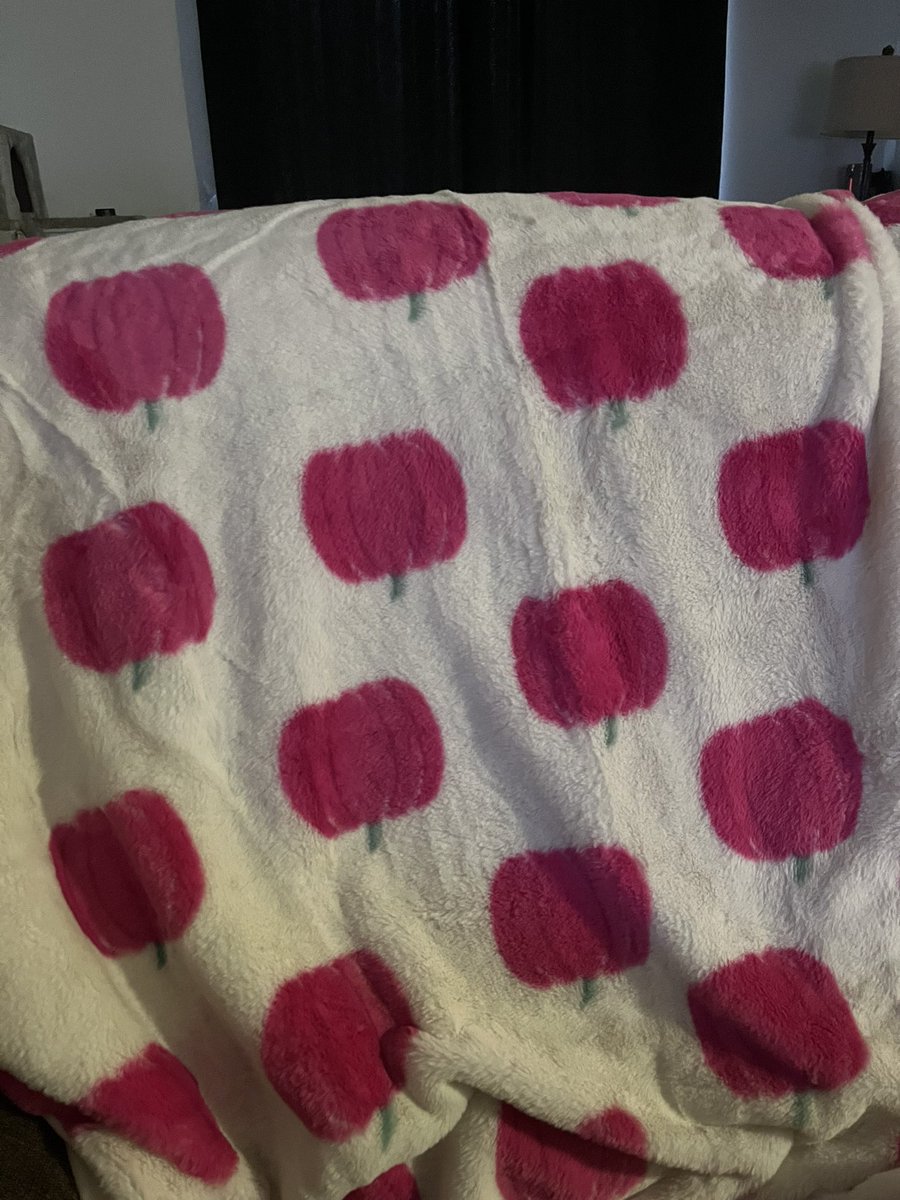 Got this cute blanket yesterday 😍🥹 still looking for a certain one but this does good for now! 💖🌸🎃