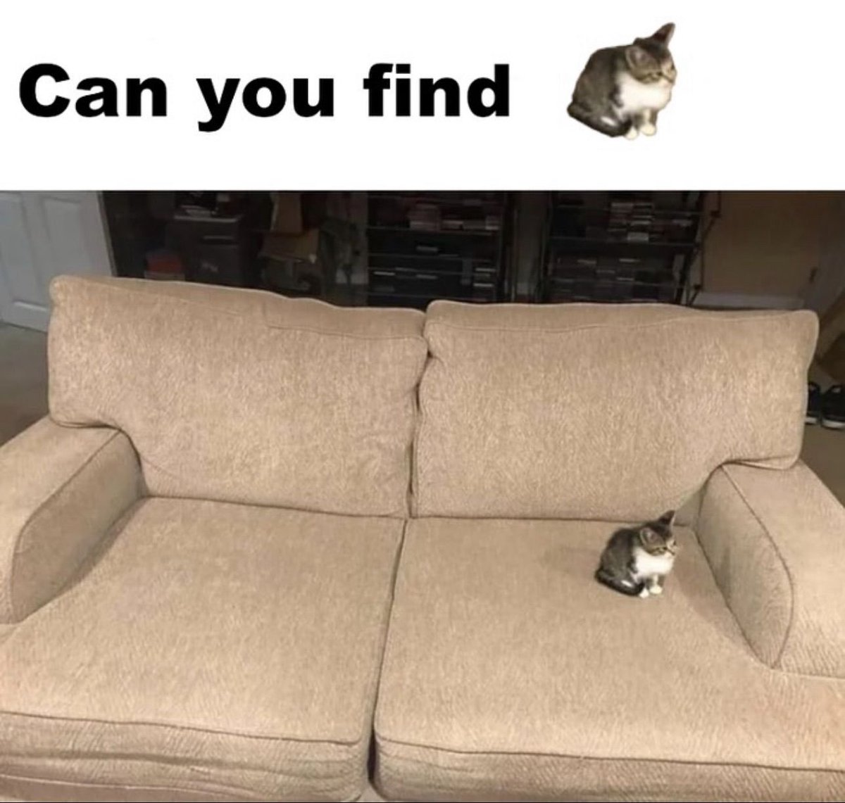 hourly_shitpost's tweet image. ㅤ