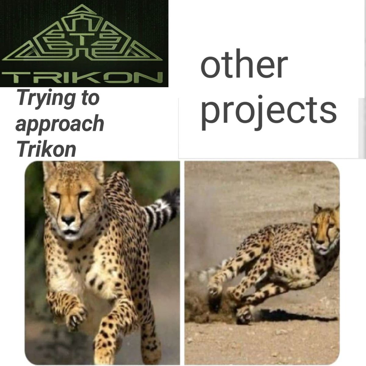 senzu547747's tweet image. Great project with great potential #Trikon #TradingRevolution #SpaceForSuccess #CryptoComedy #TradingMemes #InvestingHumor #FinancialFunnies #BlockchainBanter #CryptocurrencyJokes #TradingJourney