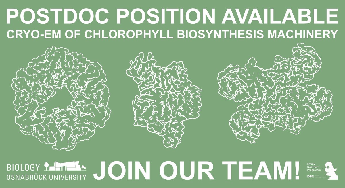 DmitryShvarev's tweet image. I am looking for a postdoc to work on structural biology of chlorophyll biosynthesis. Reach out if you are fascinated by #cryoEM, #photosynthesis and #cyanobacteria and join us in the dynamic city of Osnabrück!
uni-osnabrueck.de/universitaet/s…
@UniOsnabrueck @dfg_public