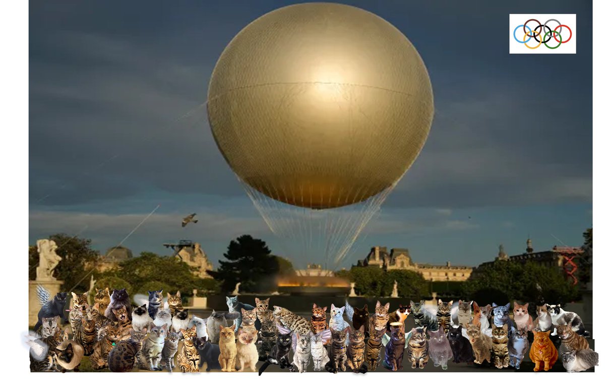 And so the Olympic Games are coming to an end and all our Olympic kitties were there as the Olympic flame was extinguished.  

<a href="/BellaBengalCat/">Bella A Bengal 🐆🐆</a>
@mitten_kittens
<a href="/RudySomali/">Rudy Loves Pi</a>
<a href="/HeleenPeggy/">Peggy Poo 😸</a>
<a href="/WickerdyWoo/">Angel Whiskey and sparkling Lady</a>
<a href="/Bellaandfreya/">Bella 🐶 and Angel Freya 🌈🐱</a>
<a href="/LeoTheBengal/">Leo loves Pi #TeamFrank Archie</a>
<a href="/dawnybj/">Pusspuss</a>
<a href="/ValinVigo/">Vin,Valin, Riley & Polo</a>
<a href="/SuzPilks/">Suz and Jago ❤️ #teambengal</a>
<a href="/ElizGriff2016/">Elizabeth Griffith</a>