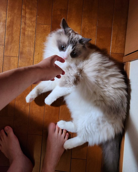 ナンナ なんて顔するの 