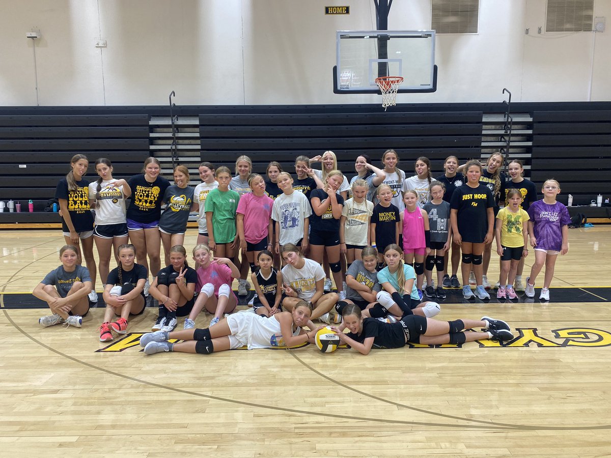 FMVolleyball tweet media