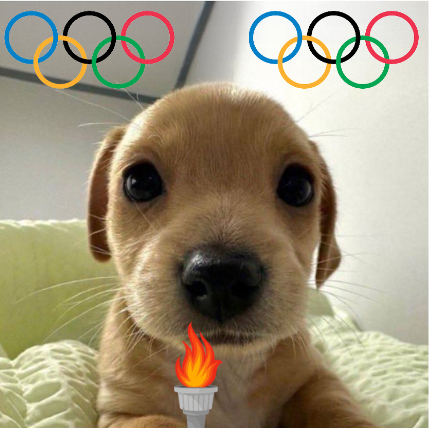 billyonether's tweet photo. olympics over, we all real winners here https://t.co/3aO25HIUd1
