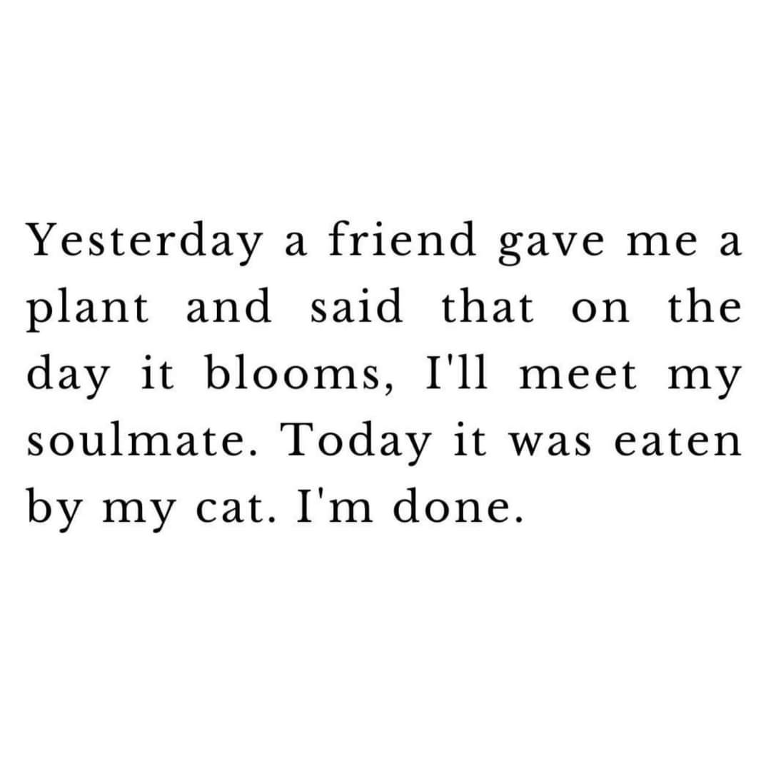 FireWoman9's tweet image. Sad, but true ... 🌿😺🌿

#SingleGirlProblems
#ButMyDogsLoveMe
#SundayFunny