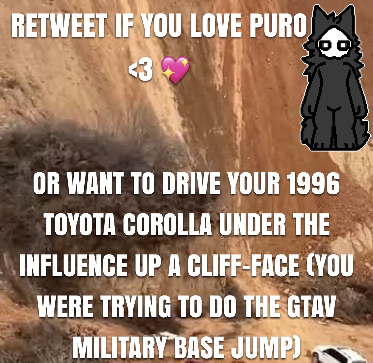 Puro tweet media