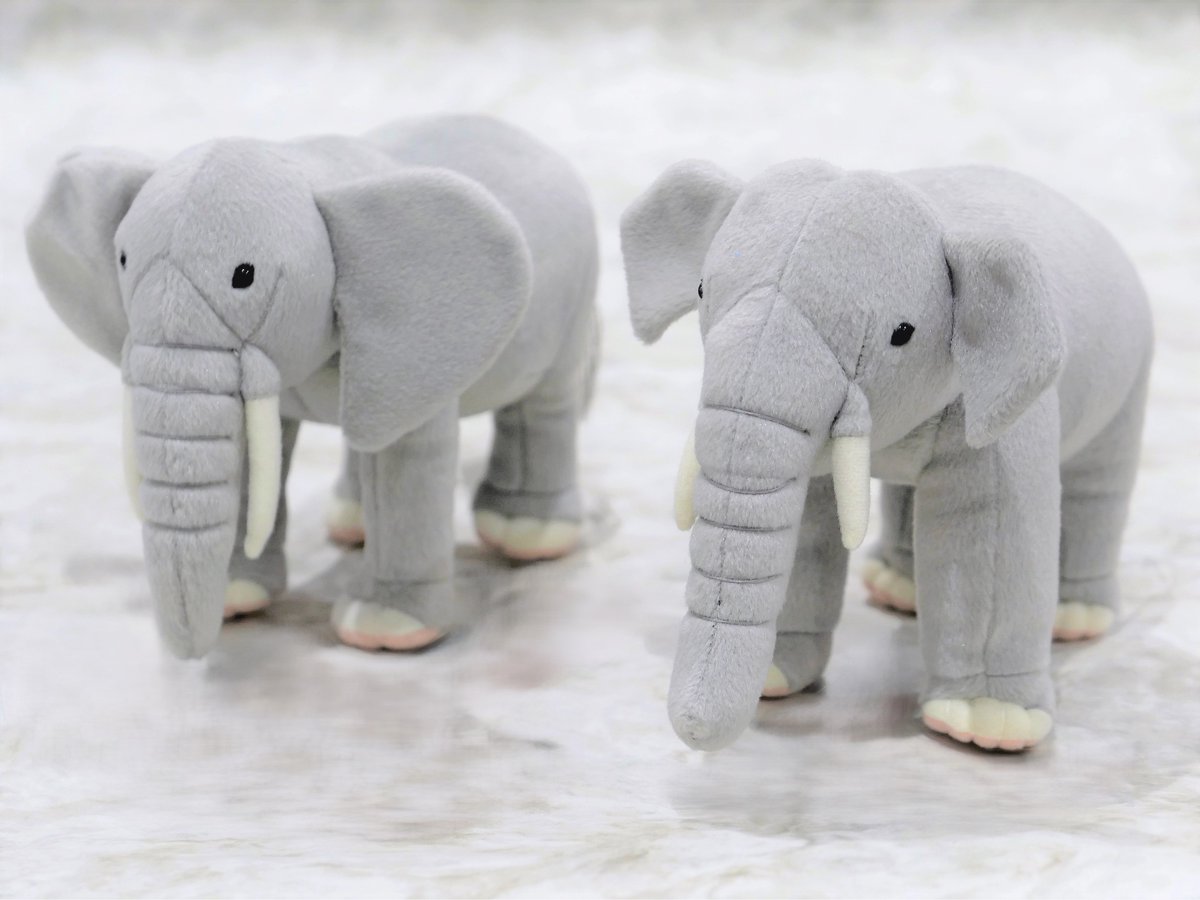 並べてみました🐘 ぬいぐるみ アフリカゾウ/アジアゾウ 各税込1,760円