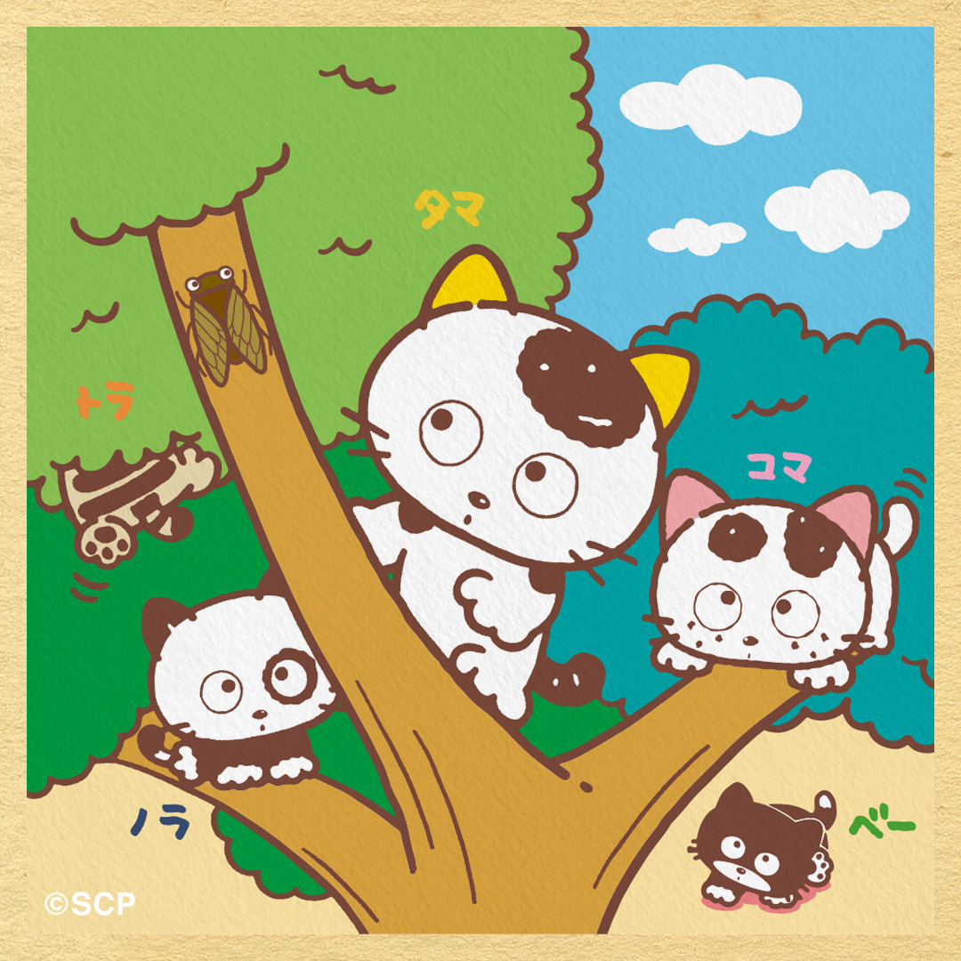 夏休みは全力で虫取り！ 猫たちに囲まれた蝉の運命やいかに…😇 #夏休み