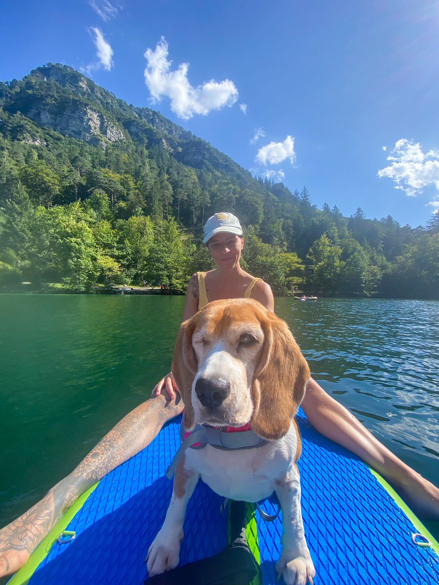 Niall Harbison tweet media