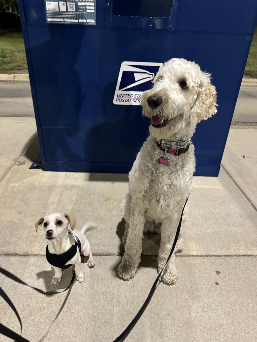 Laura Corey tweet media