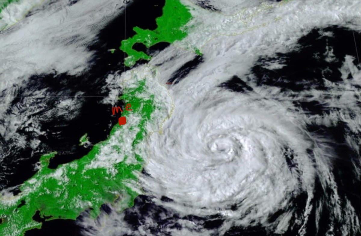 natsuki the man tweet media