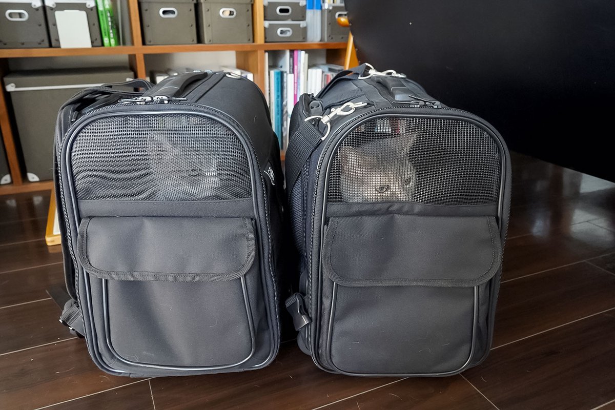 モアクリ tweet media