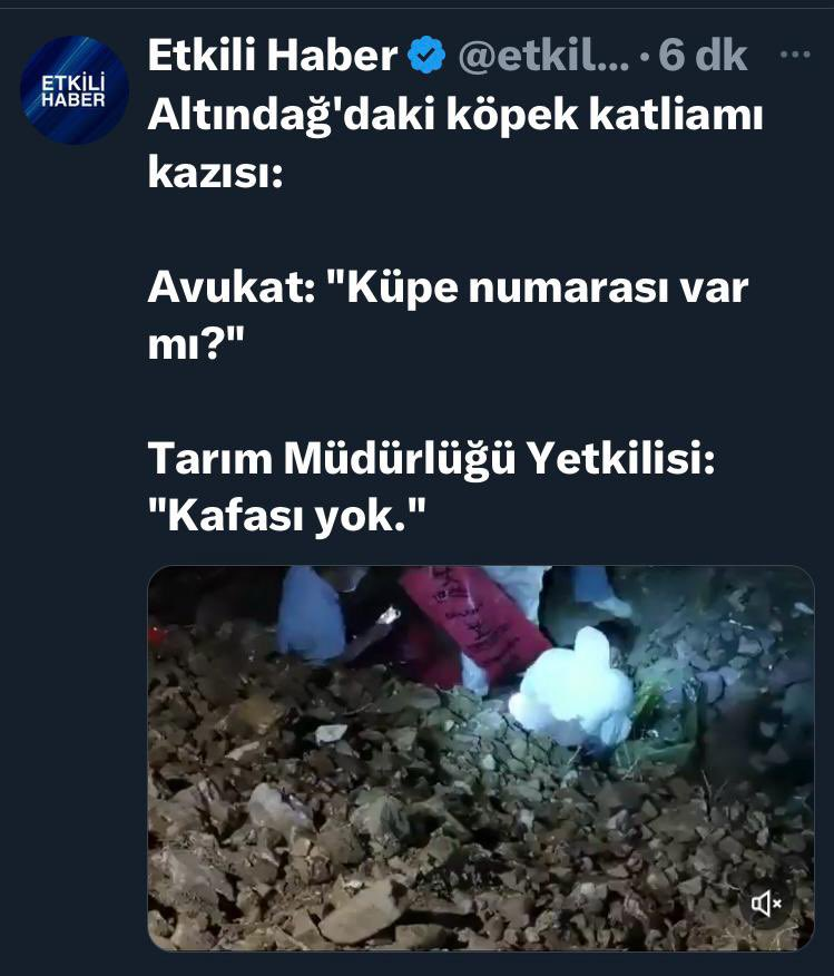 Phaedra tweet media