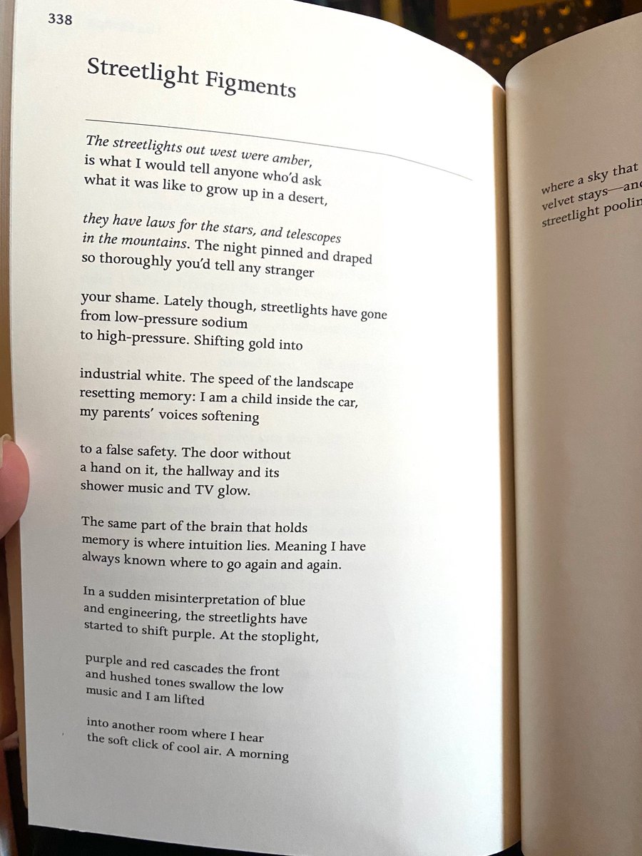 Lisa Compo tweet media