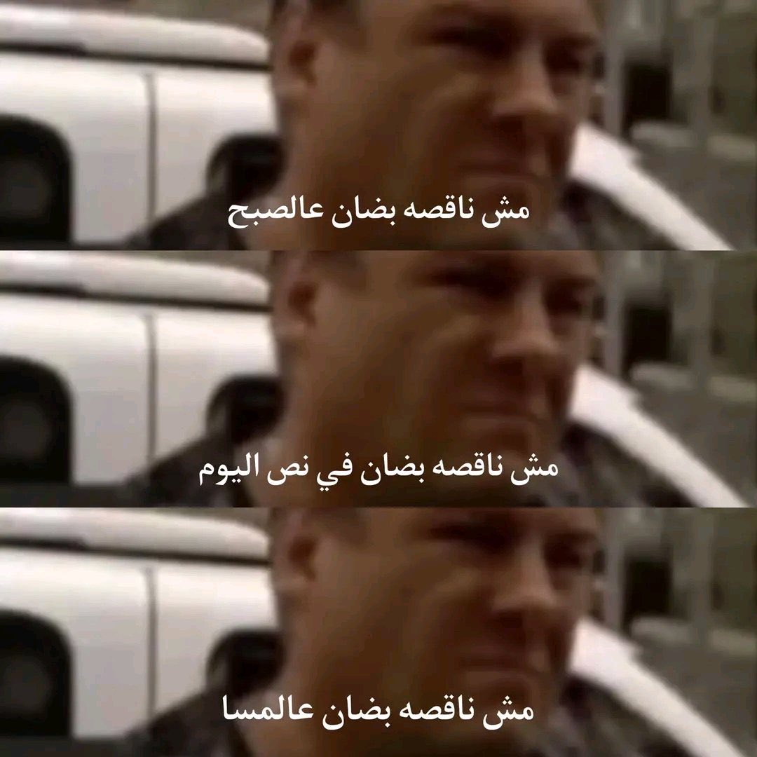 🇵🇸جمعية الرفق بالحيوان (@nayfagrad) on Twitter photo 