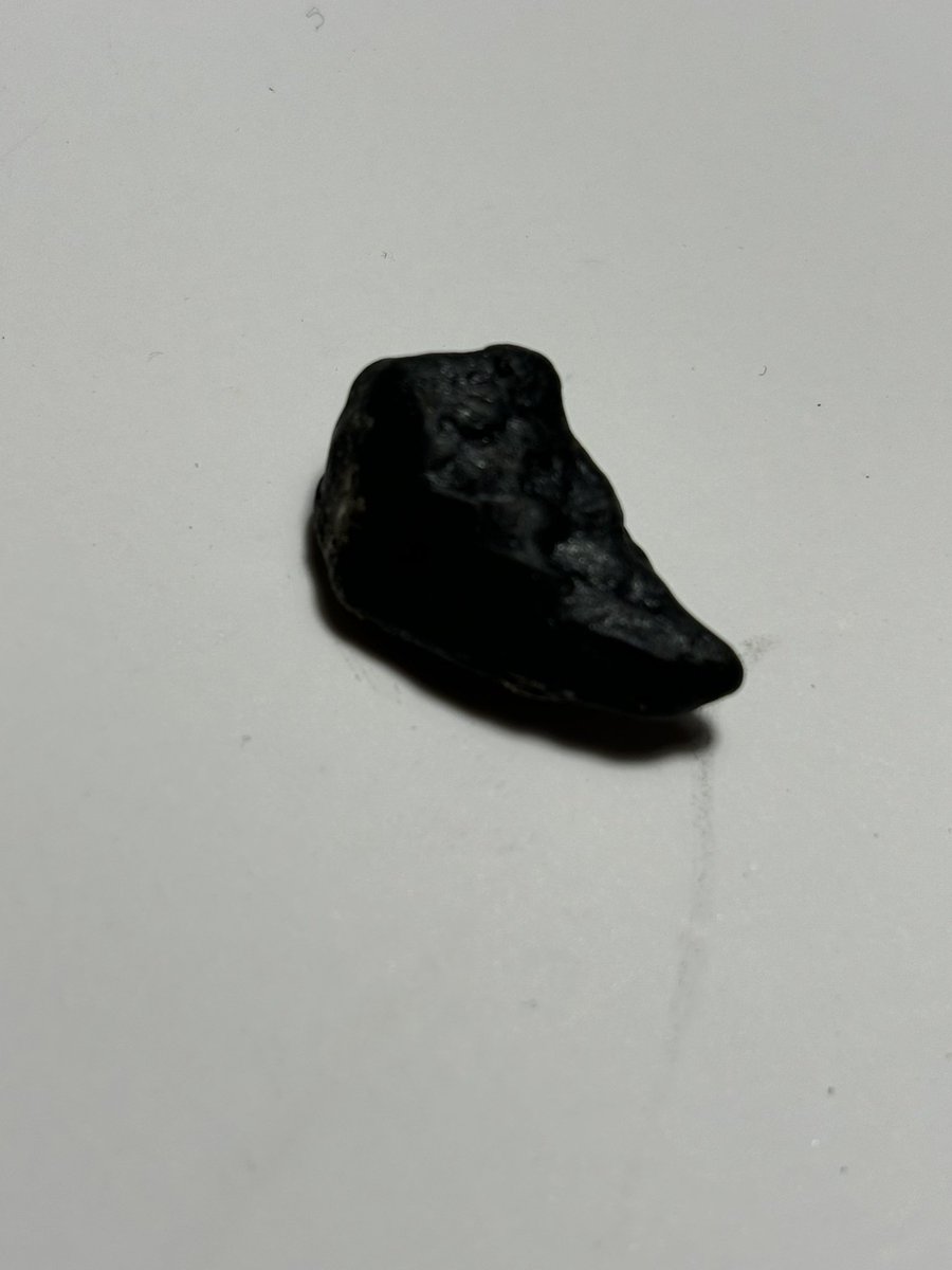 ReelColdFront's tweet image. I believe I found a fossilized claw. @DavidEvans_ROM do you know how I could confirm the part and species. Thanks