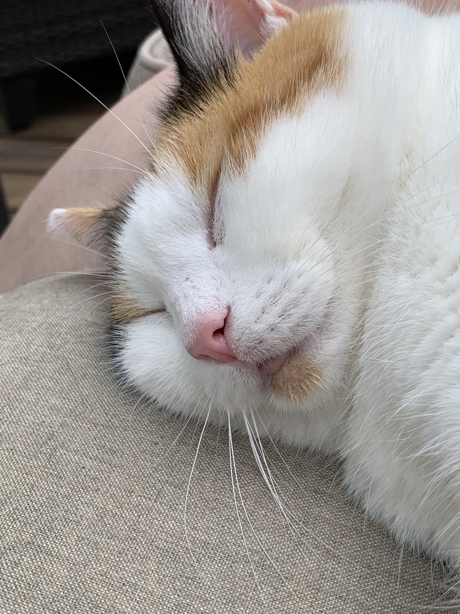 Michael Gardner tweet media